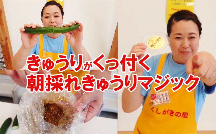 朝採れきゅうりと喰うて味噌が絶品